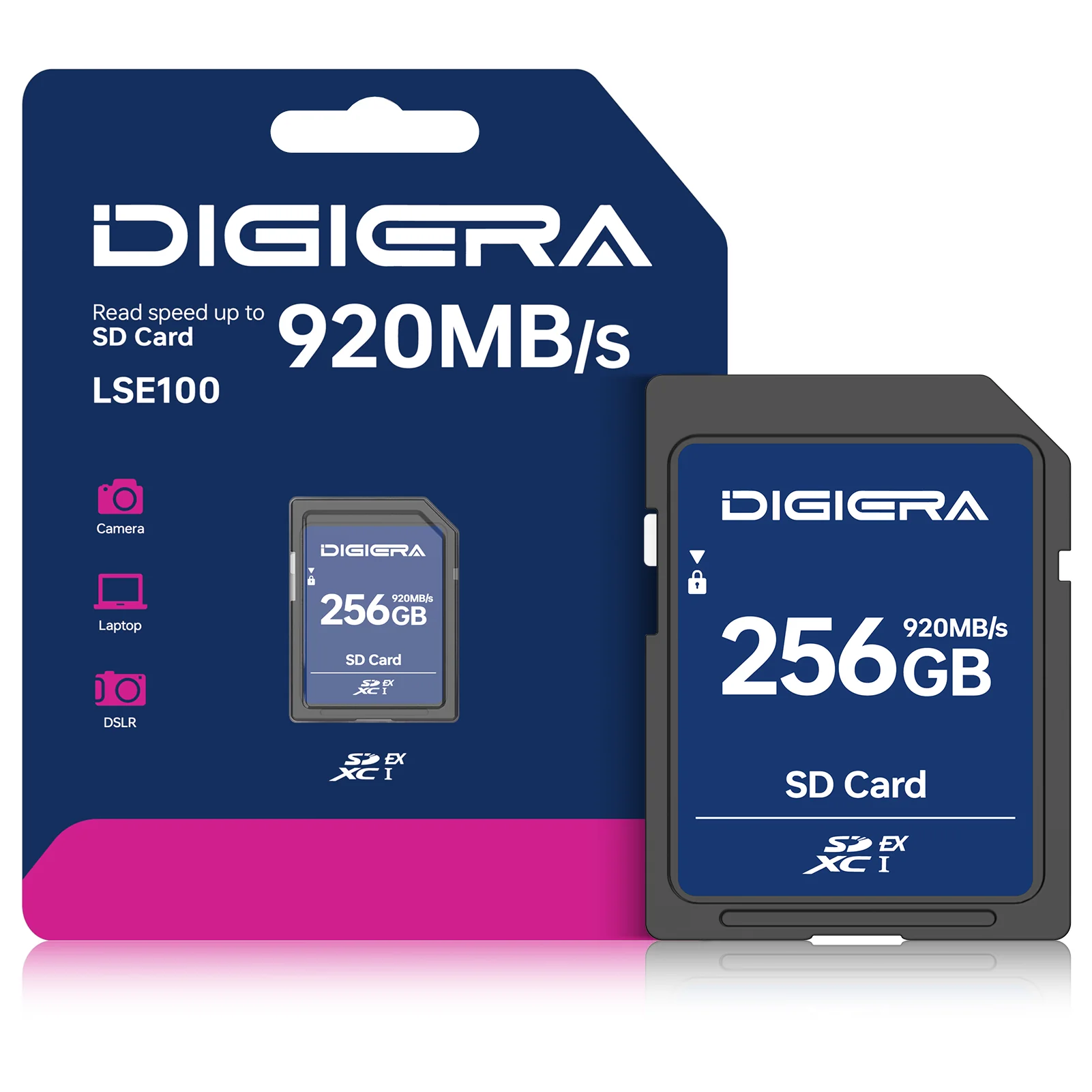 SD And Microsd Card